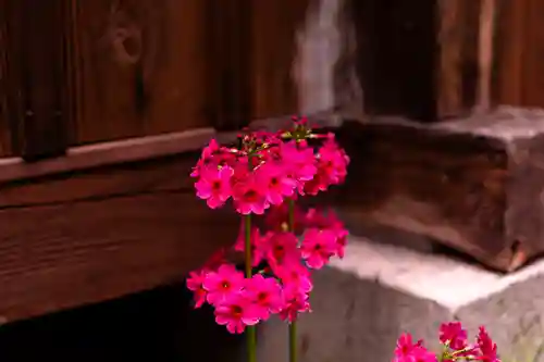 戸隠神社宝光社(長野県)