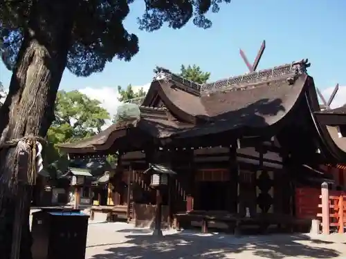 住吉大社の本殿・本堂