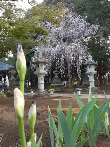 伏木香取神社の自然