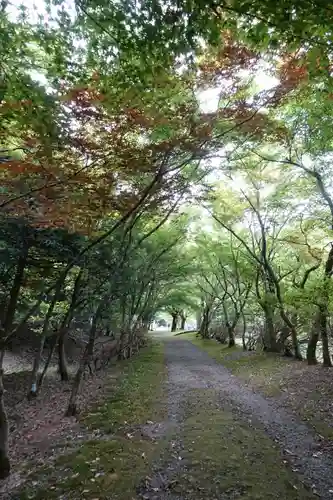 金剛院の景色