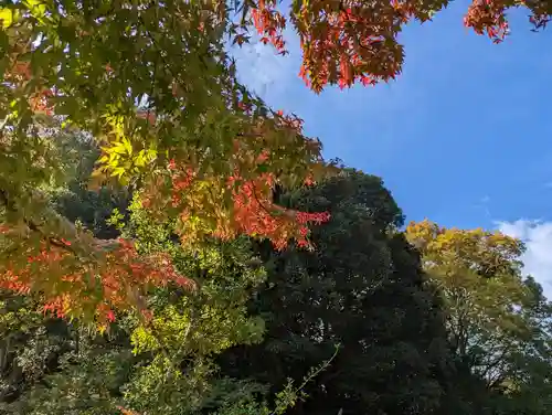 橿原神宮の自然
