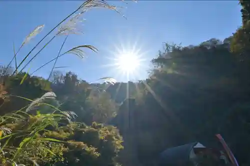高龍神社(新潟県)