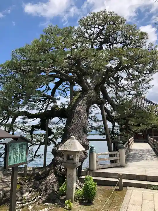 満月寺(浮御堂)の庭園