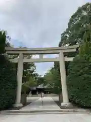 兵庫縣姫路護國神社の鳥居