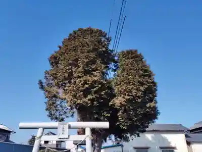 八坂神社(群馬県)