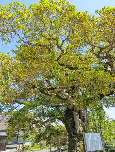 乙訓寺(京都府)