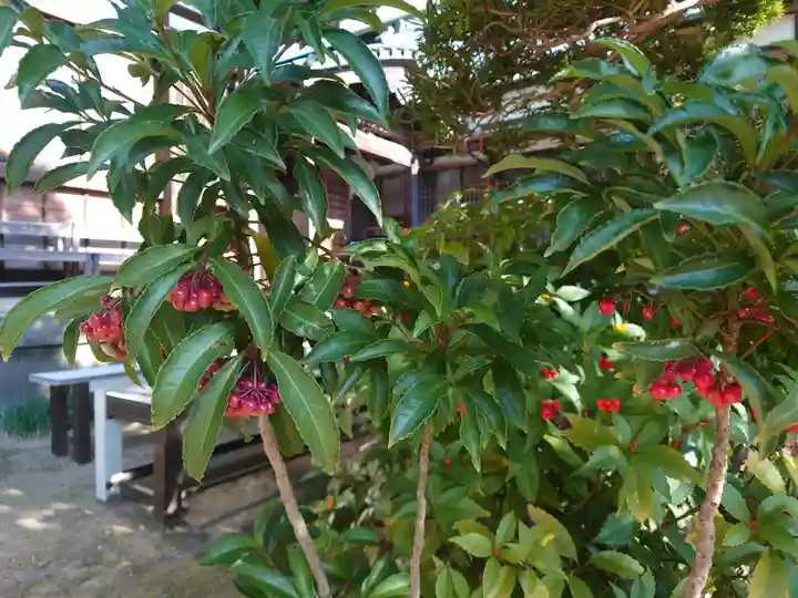 東福寺(神奈川県)