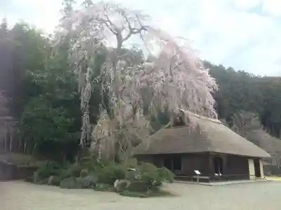 高麗神社のその他建物