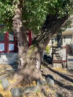 大森神社(東京都)
