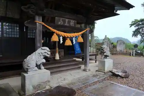 長屋神社の狛犬