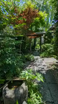 妙雲院(京都府)