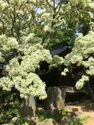 大宝八幡宮の自然