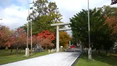 札幌護國神社の鳥居