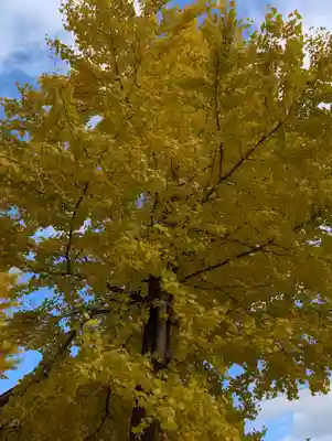 阿邪訶根神社(福島県)