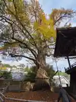 北向観音の御朱印