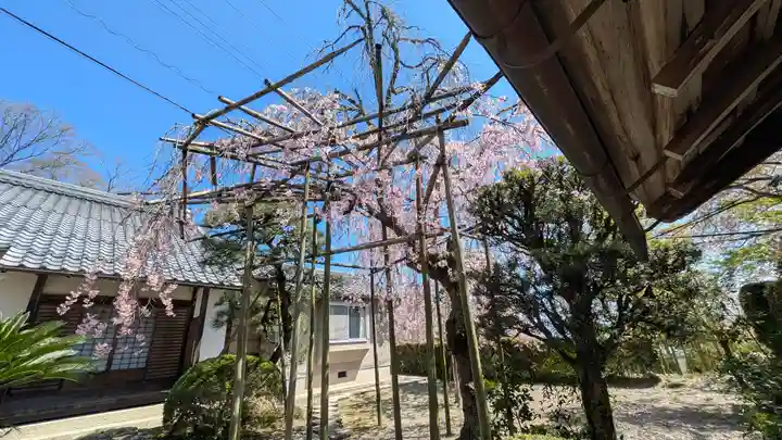 西教寺(滋賀県)