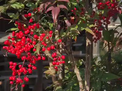 隆専寺(大阪府)