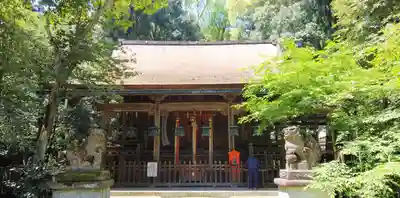 舟津神社の本殿・本堂