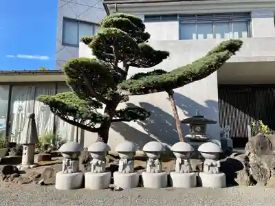 圓通寺(東京都)