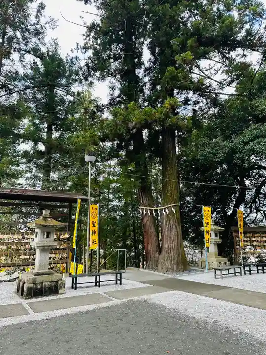 聖神社(埼玉県)