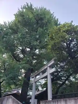 熊野神社(東京都)