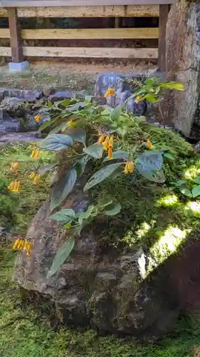 古知谷阿弥陀寺(京都府)