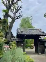 大林院(東京都)