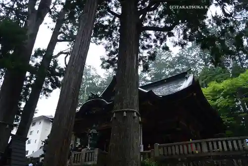 三峯神社(埼玉県)