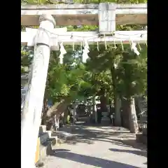 椙本神社の鳥居