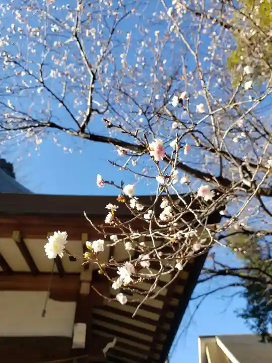 馬橋稲荷神社(東京都)