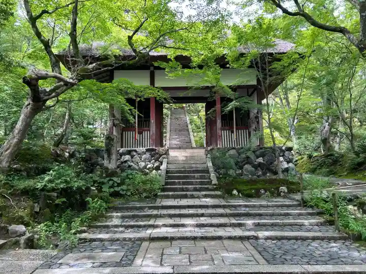 常寂光寺(京都府)
