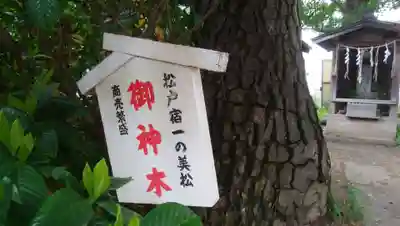 松先稲荷神社のその他建物