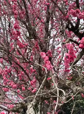 霊鑑寺門跡(京都府)