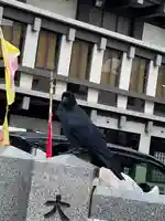 成田山札幌別院新栄寺の動物