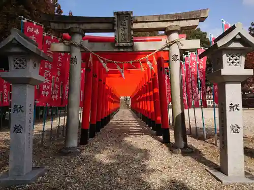 土岐一稲荷神社の鳥居