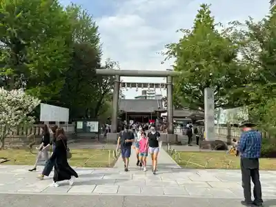 浅草神社の鳥居
