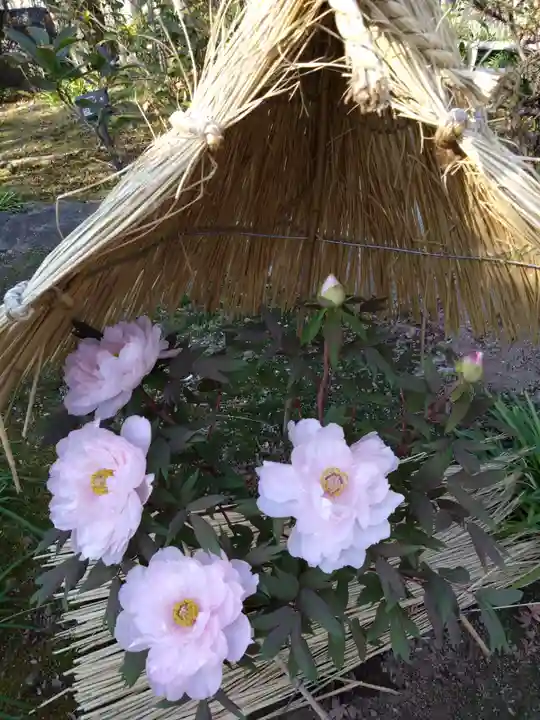 筥崎宮(福岡県)