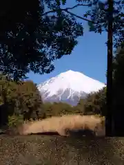 山宮浅間神社の御朱印