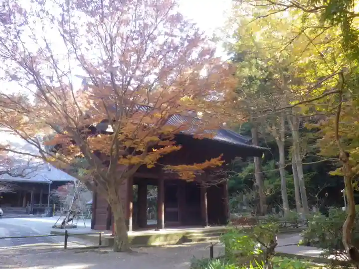 妙本寺の山門・神門