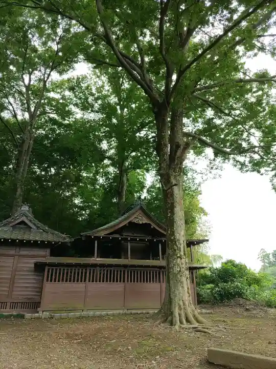 久伊豆神社(埼玉県)