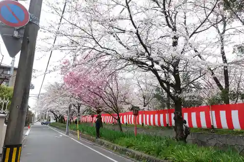 平野神社(京都府)