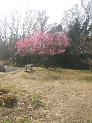 神前神社の自然