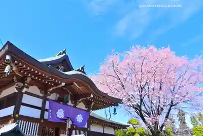 密藏院(埼玉県)