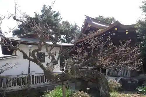 松原神社(神奈川県)