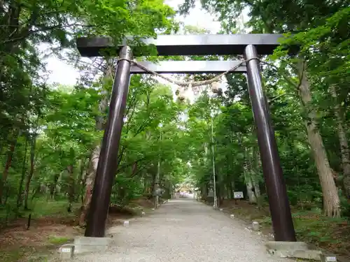 士別神社の鳥居