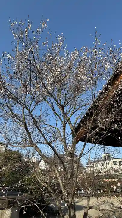 元興寺(奈良県)