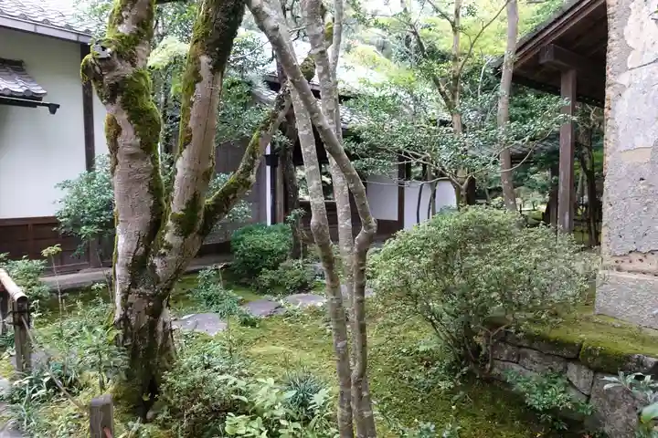 蓮華寺(洛北蓮華寺)の庭園