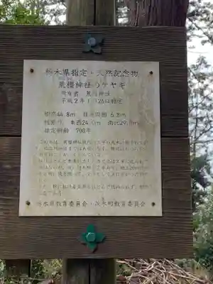 荒橿神社(栃木県)