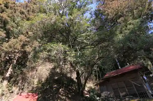 都々古別神社の自然