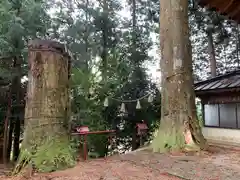 箒根神社高清水遥拝殿の自然